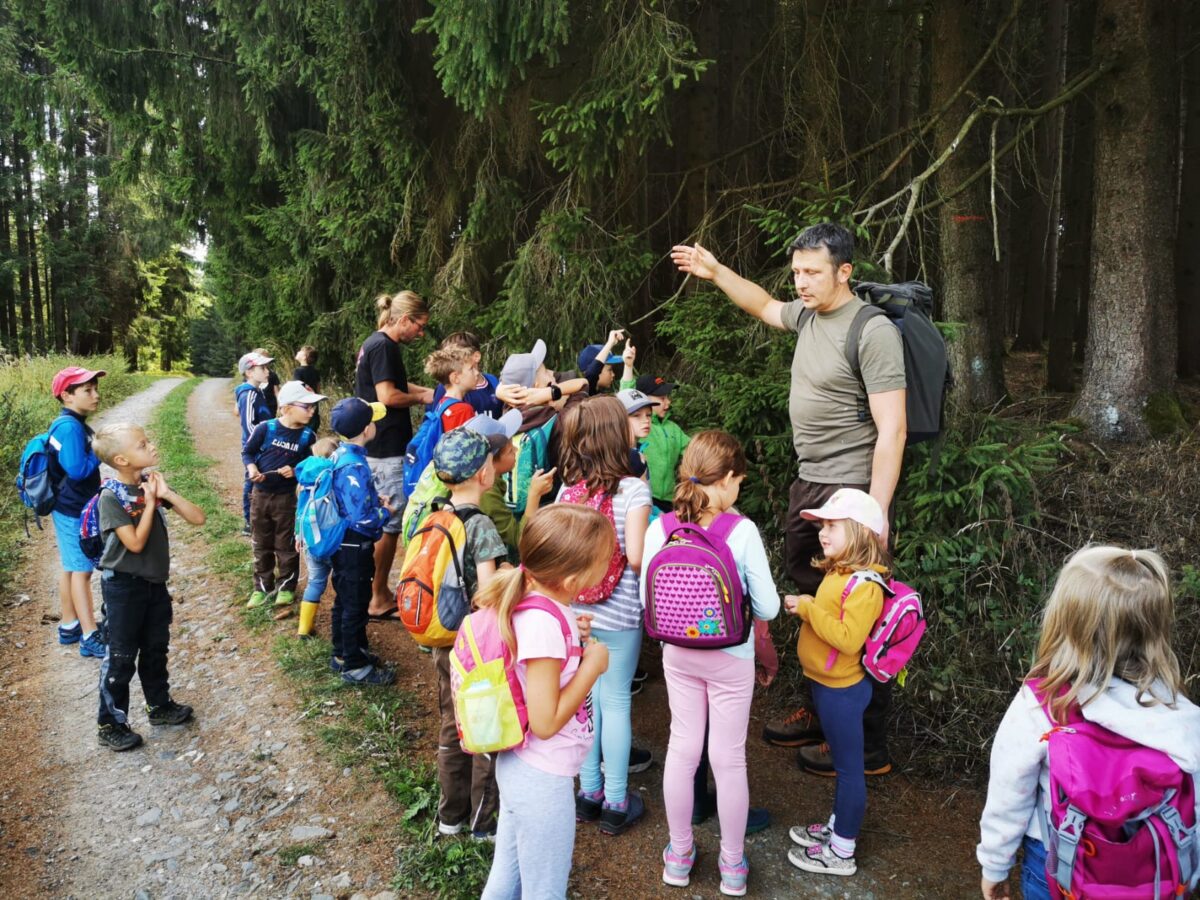Schwarzkittel und andere Waldtiere kennenlernen