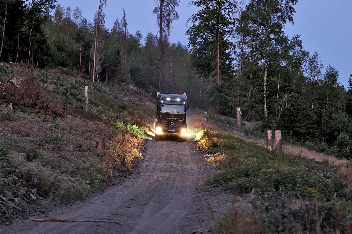 Einsatz im Borkenkäfer-Krisengebiet: Baumkiller vernichten riesiges Waldstück