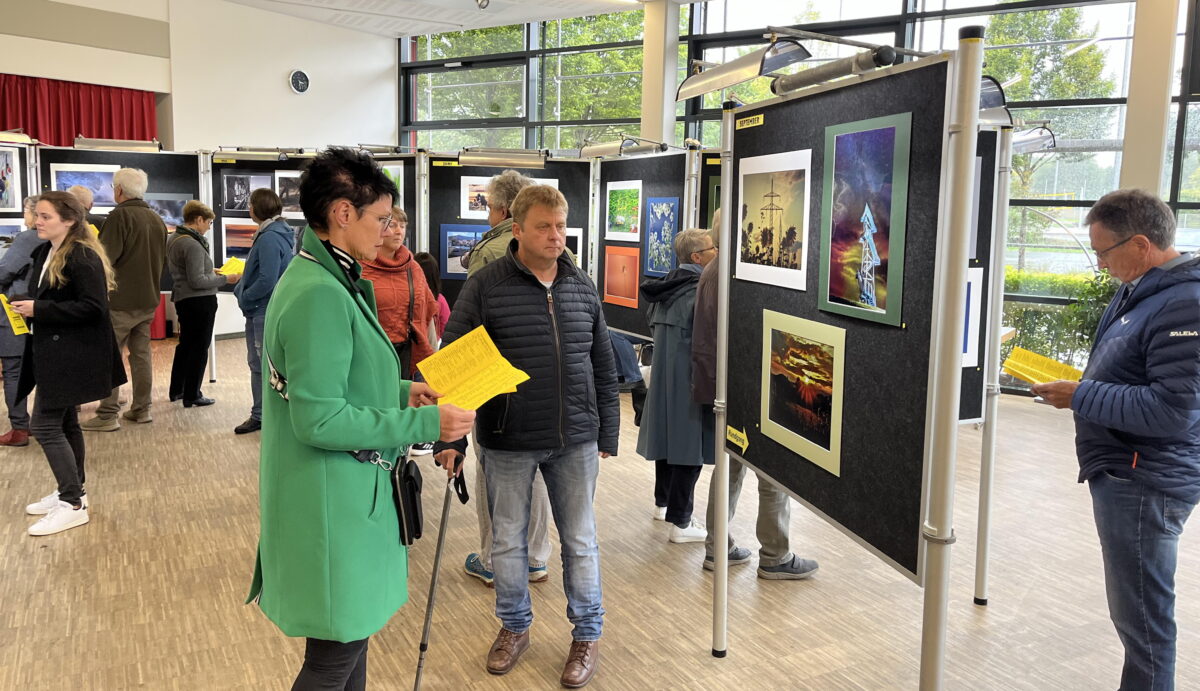 „50 shades of green and grey“ – Guter Ausstellungsstart nach Coronapause