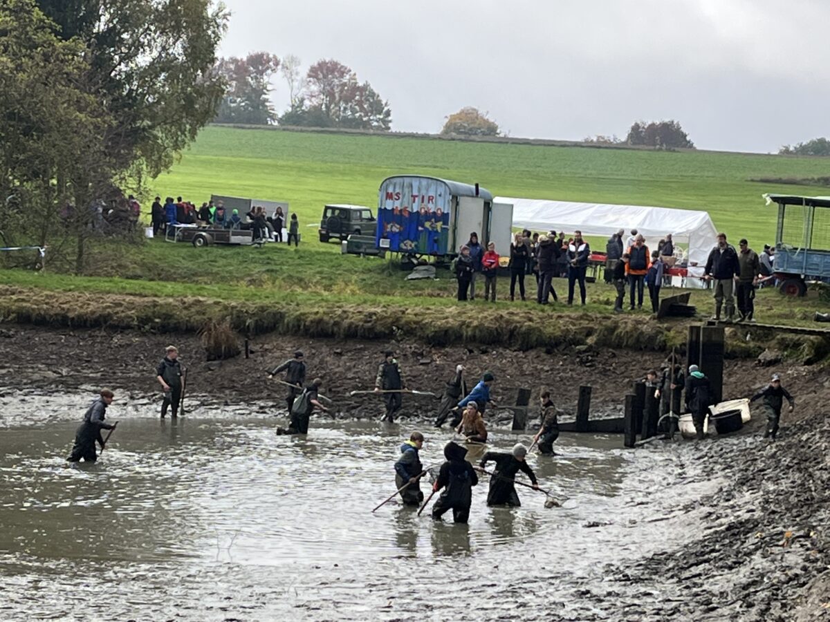 Petri Heil: Mittelschule Tirschenreuth pflegt ihren eigenen Teich