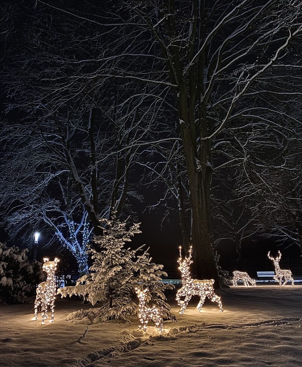Fieranten gesucht: Die Weihnachtsstimmung in Pressath mitgestalten