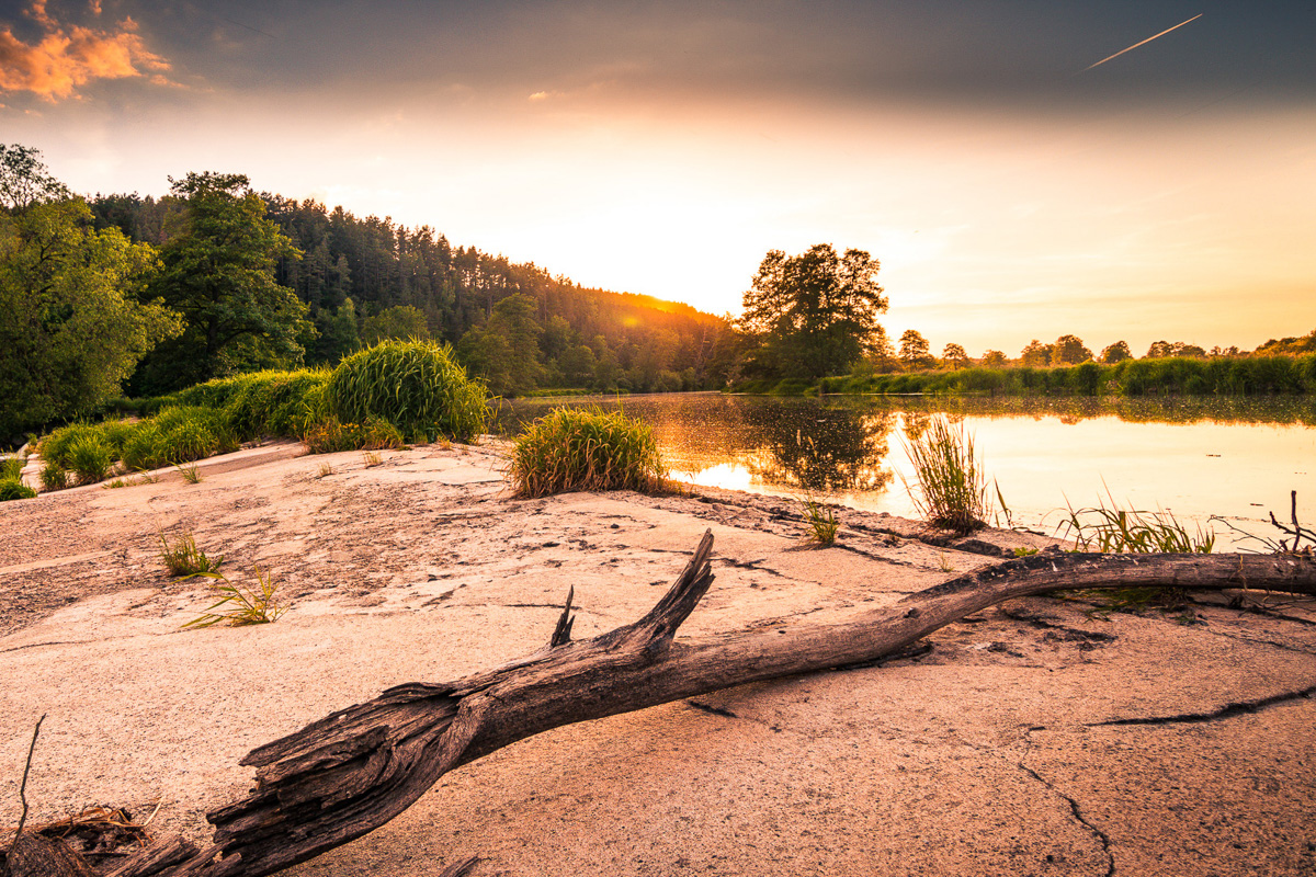 Foto-Wettbewerb: Das sind die TOP 12 Bilder