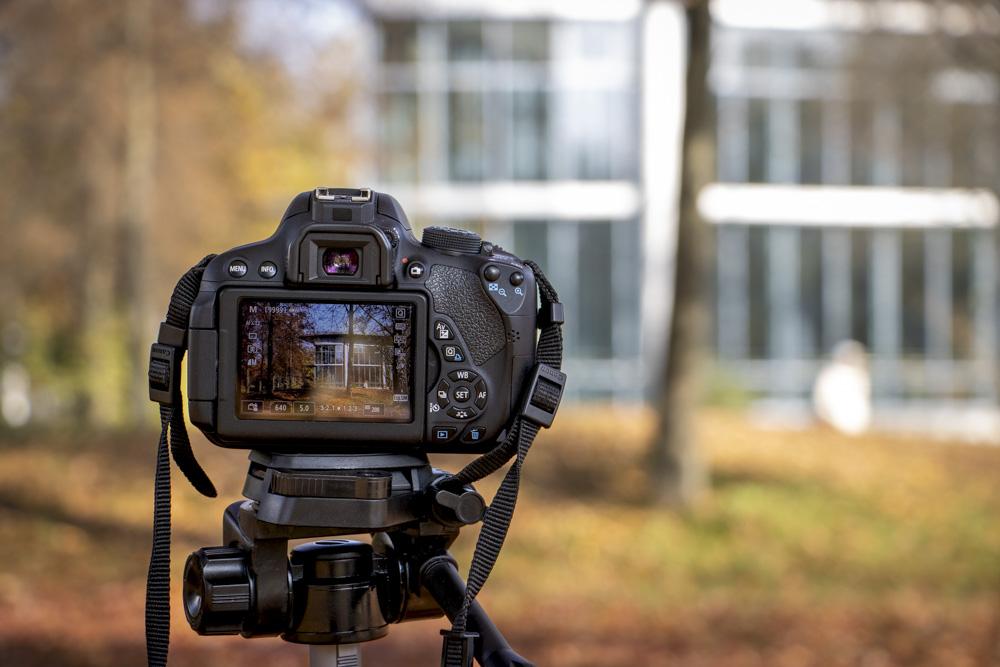 Finalrunde beim Foto-Wettbewerb: Welches Bild soll gewinnen?