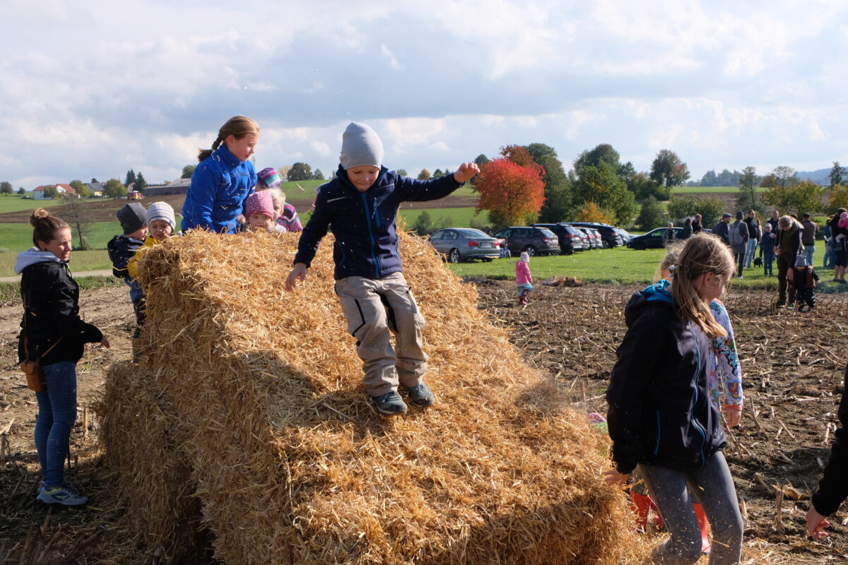 Leuchtende Kinderaugen am Kartoffelfest