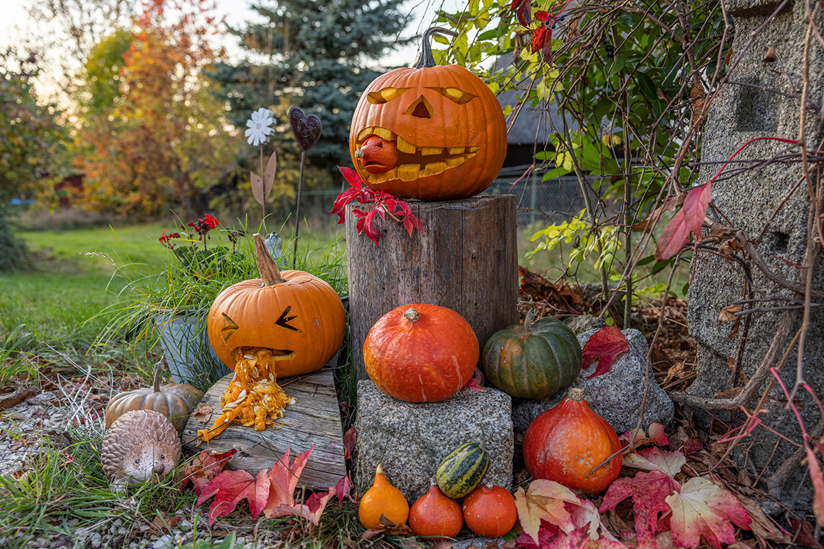 [Sonntagsfrage] Halloween – ist alles nur Kommerz oder doch eine tolle Tradition?