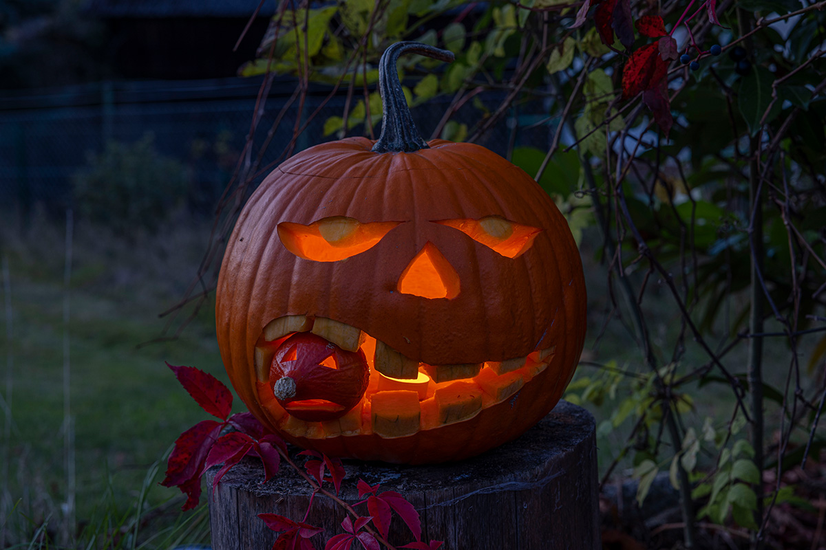 Halloween: „Für mich schon immer ein unvergessliches Kindheitserlebnis“
