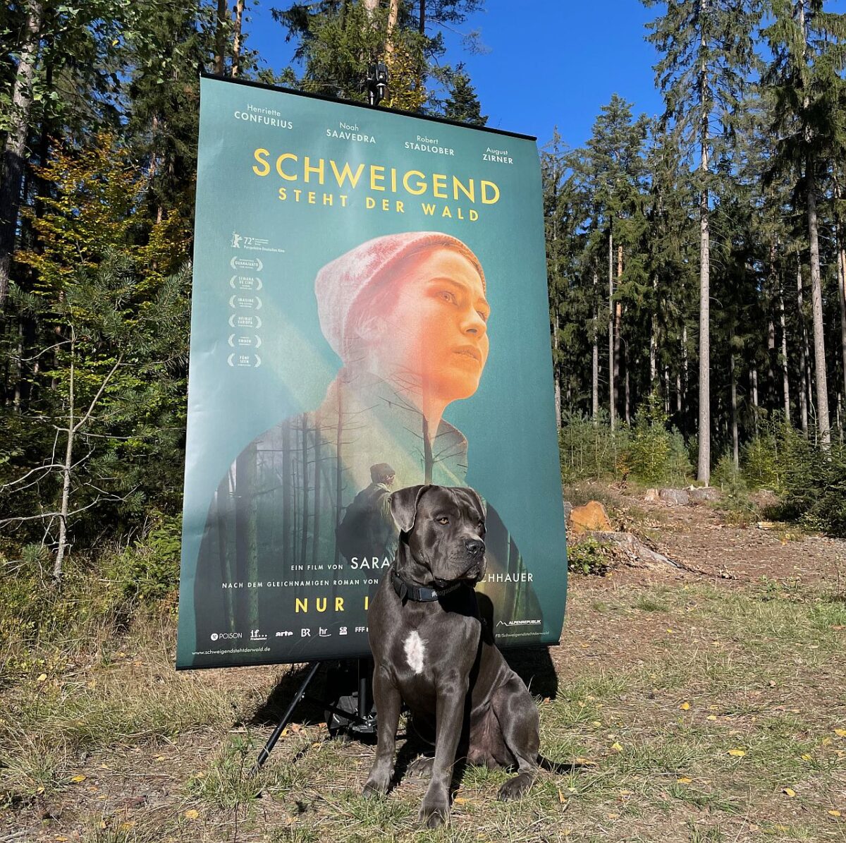 Gestatten, Pünktchen – Schauspieler und „Petfluencer“