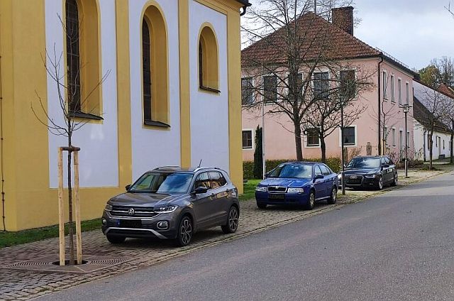 „Aufforstung“ im Ortsgebiet Neudorf