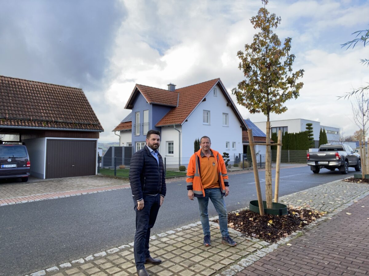Ein bisschen mehr Grün für Neustadt