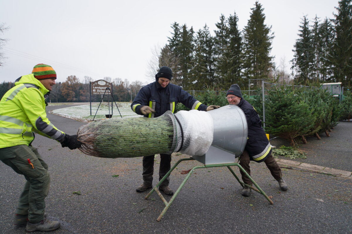 Christbaumverkauf: Alles Öko bei der Lennesriether Feuerwehr