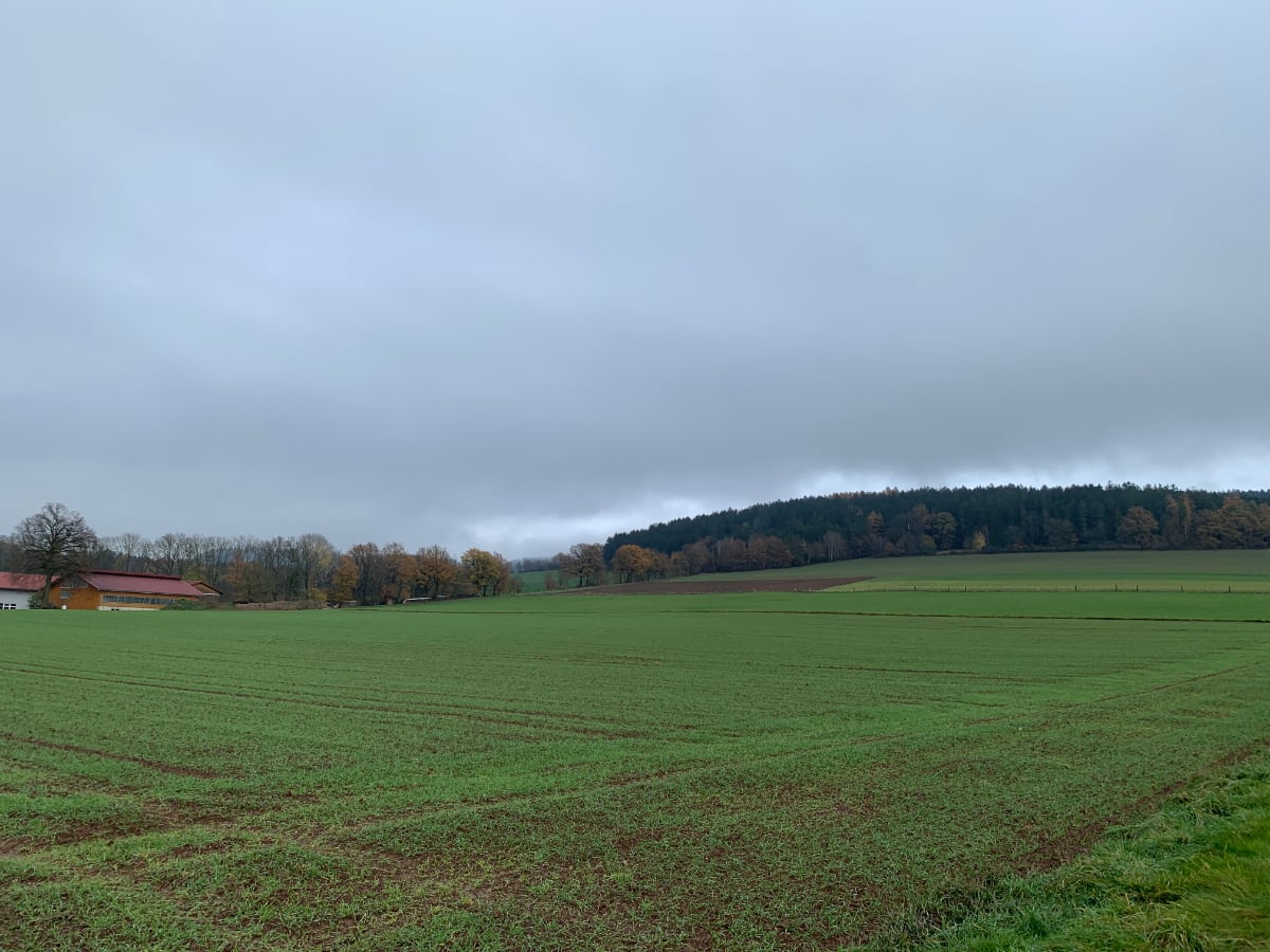 Gemeinde Theisseil bekommt einen weiteren Solarpark bei Edeldorf