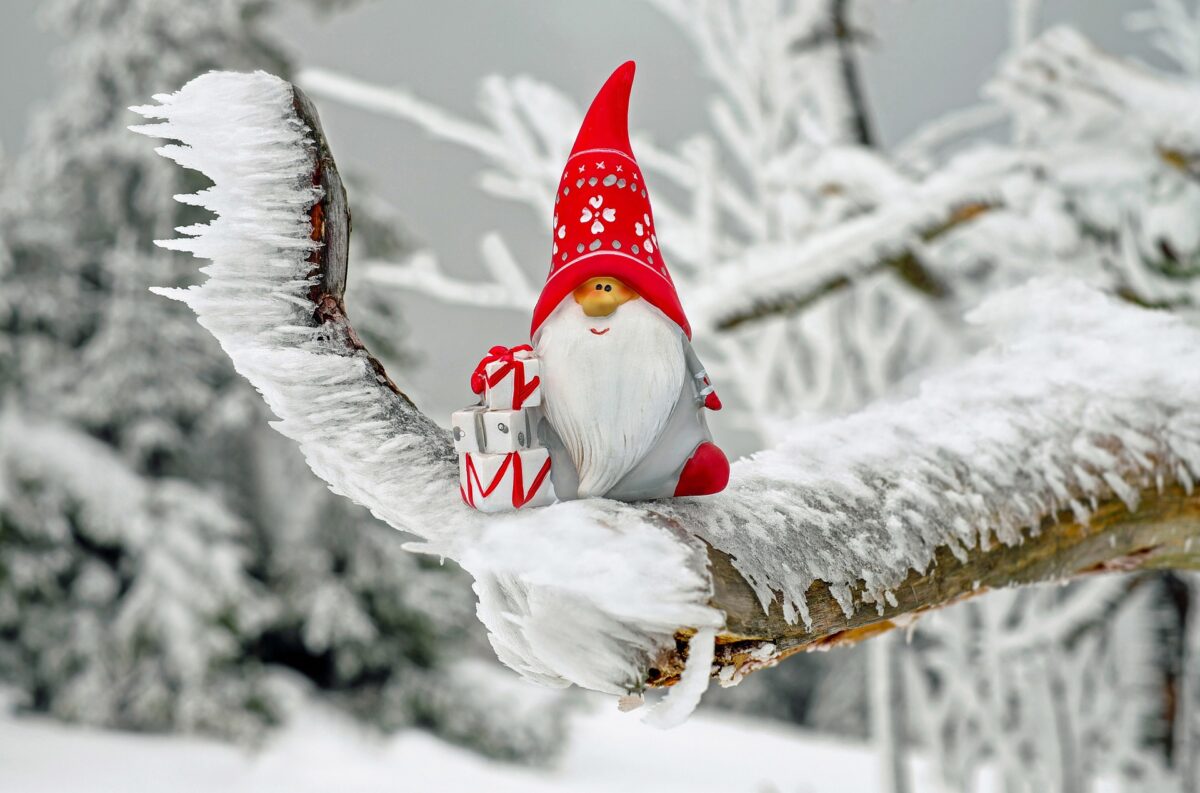 Alle helfen mit – Weihnachtsstimmung auf dem  Mühlenhof