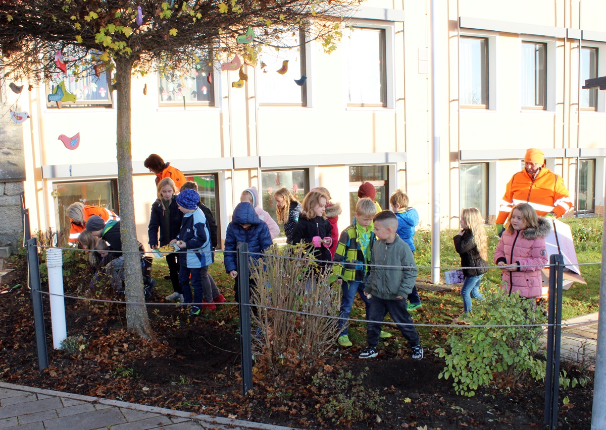 Blühpakt Bayern: Aktion auch in Eschenbach