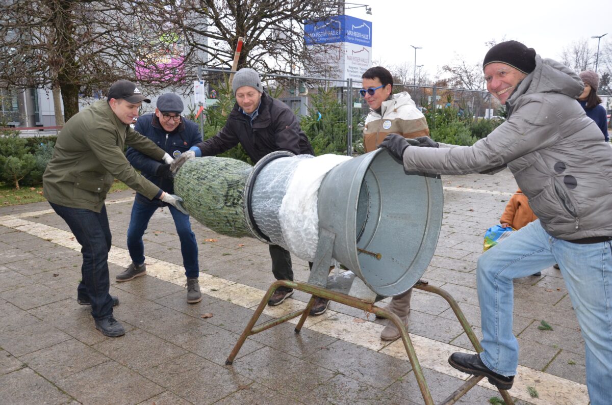 Kein Schnäppchen, aber ökologisch: Christbäume des Lions Clubs Goldene Straße
