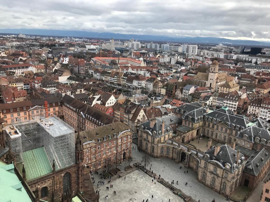 Polizei informiert über Festnahme: Mörder hatte Helfer