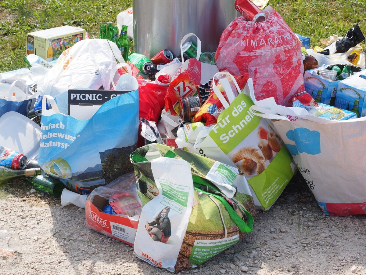 [Sonntagsfrage] Sollte das „Containern“ erlaubt sein?