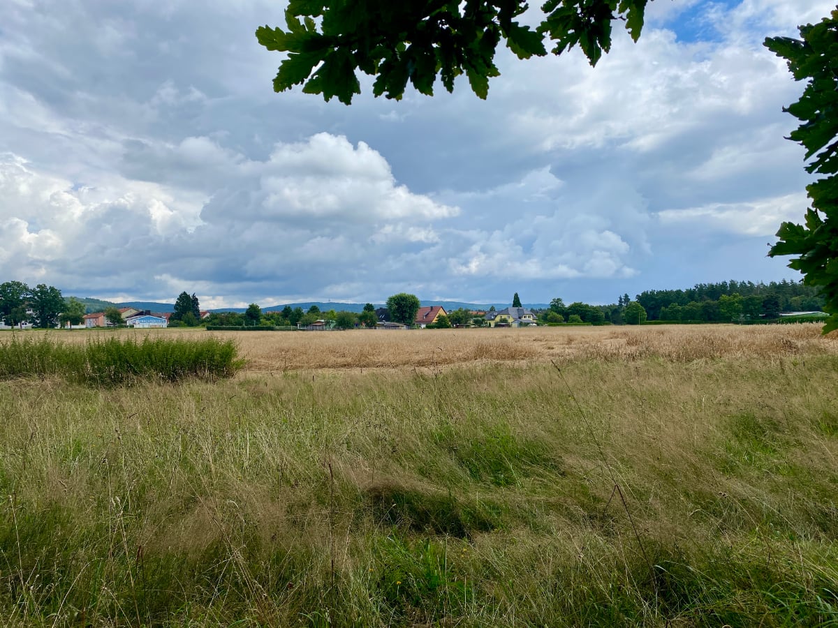 Auch wenn es der Regierung zu groß ist, Altenstadt/WN bekommt neues Baugebiet