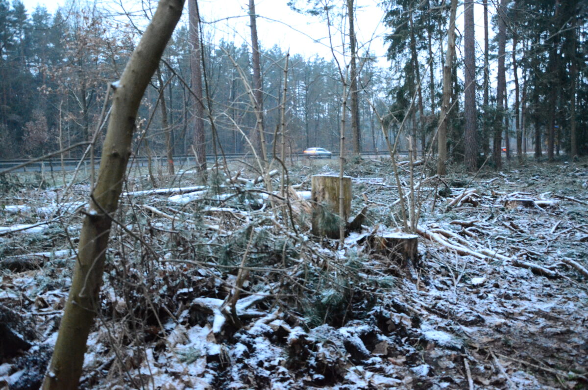 Keine Aussicht auf Verlängerung der Lärmschutzwand im Weidener Westen