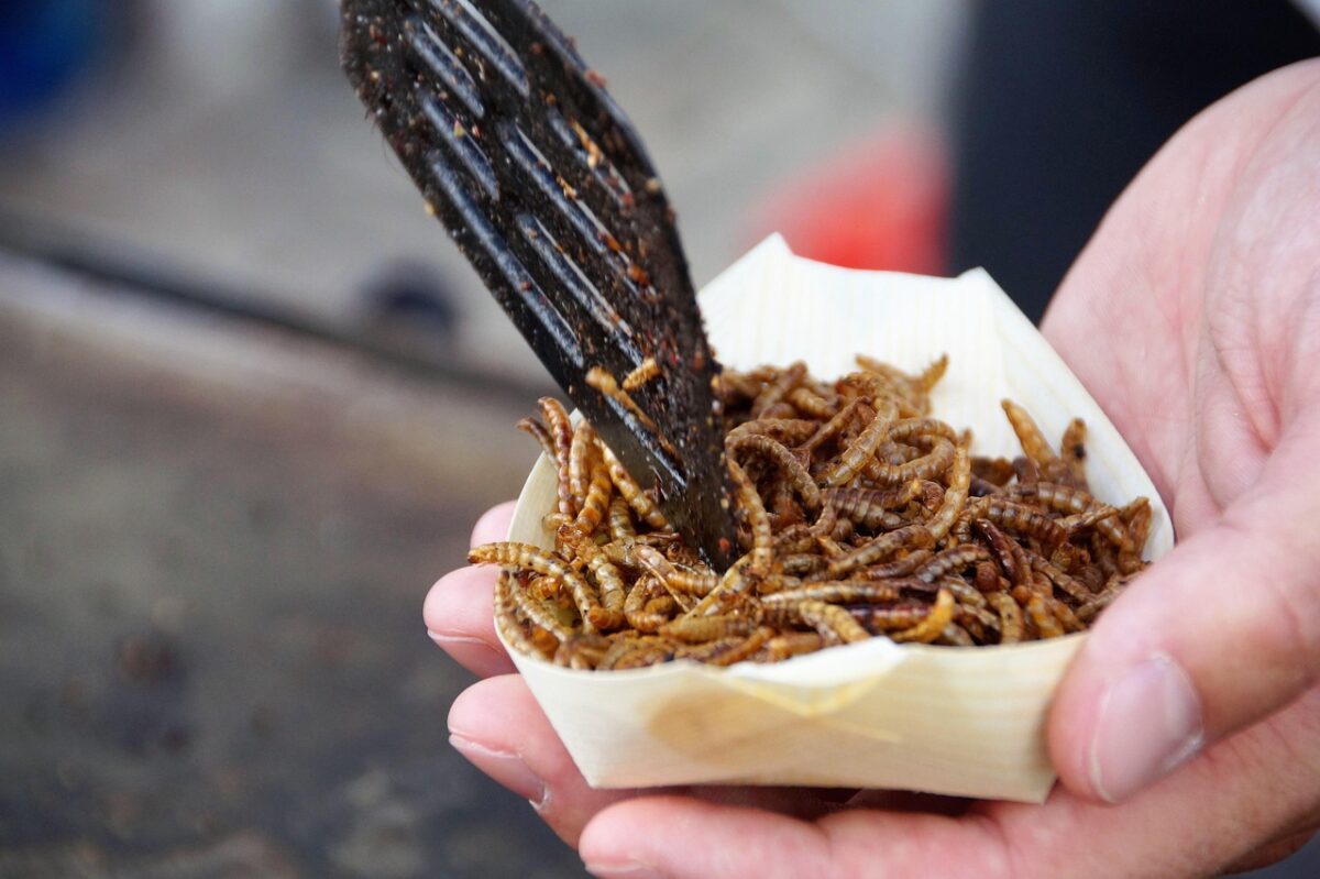 [Sonntagsfrage] Würdest du Lebensmittel mit verarbeiteten Insekten essen?