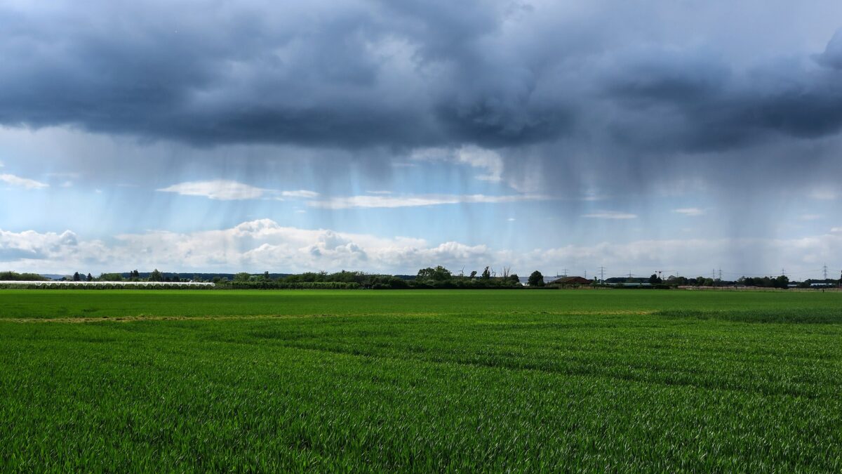 Interessante Alternativen für Landwirte