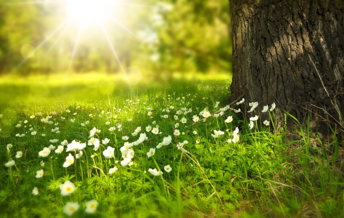 Endlich: Frühling vertreibt den Aprilwinter