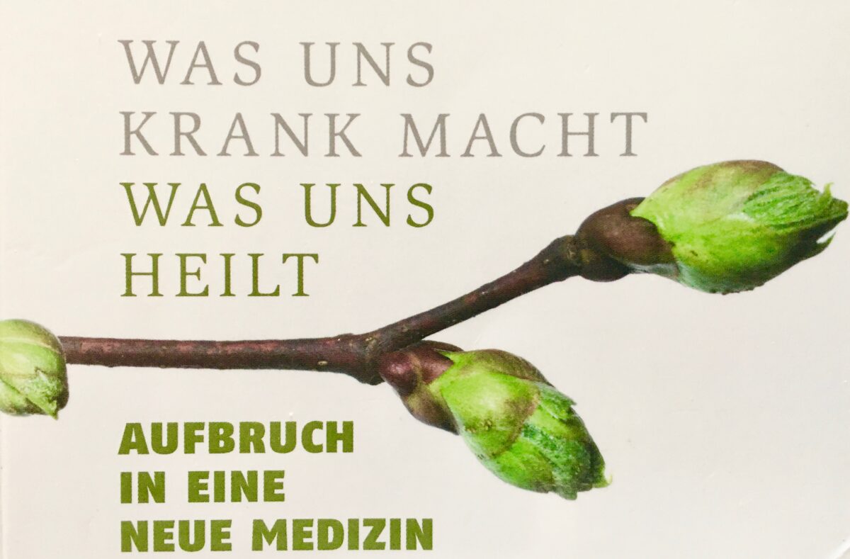 Vortrag über den Zusammenhang von Psyche, Gehirn und Immunsystem