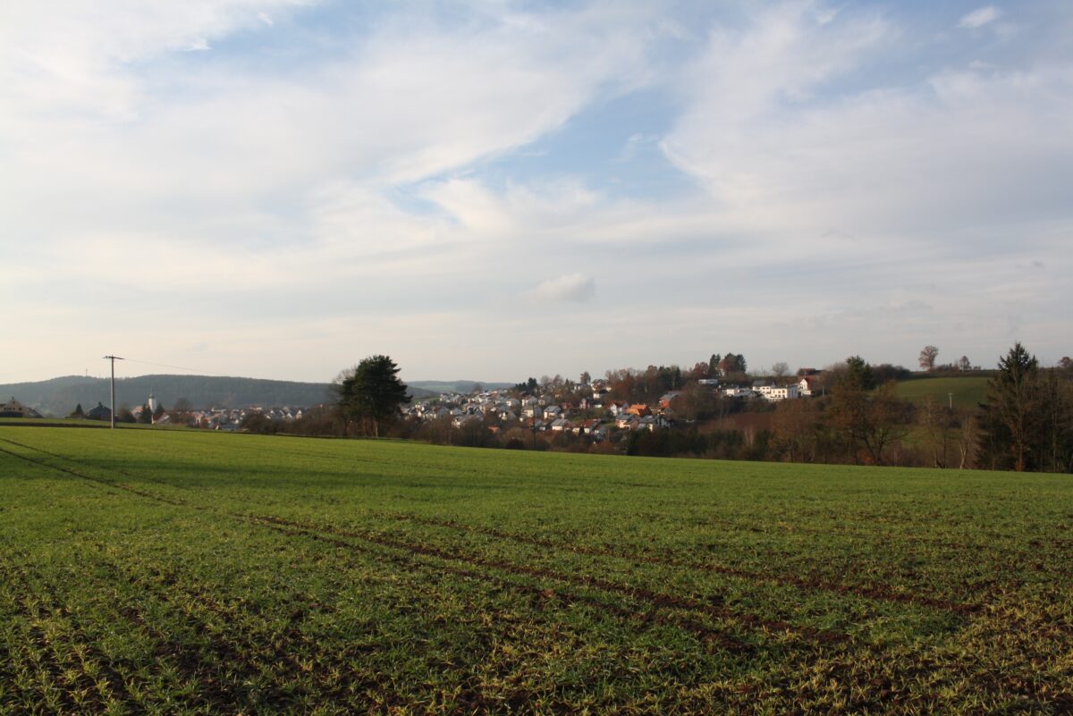Stadtrat Pressath: Viele Pläne und Ideen für den Kiesibeach