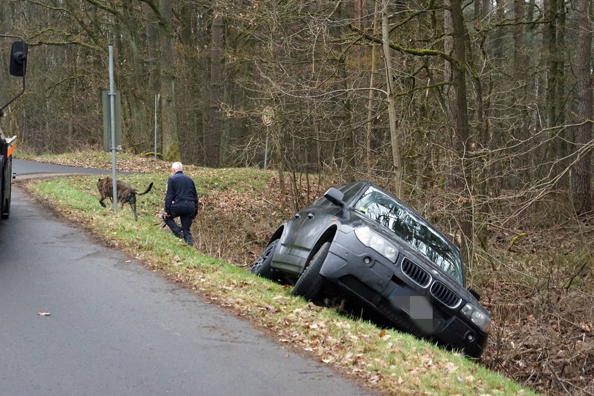 Unfallflucht – Polizeihund im Einsatz