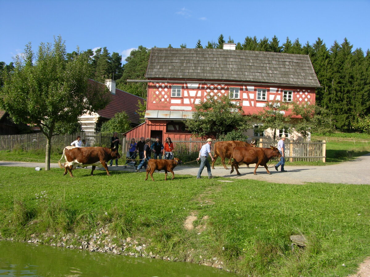 Das Freilandmuseum bietet auch 2023 wieder Klassiker und neue Ideen
