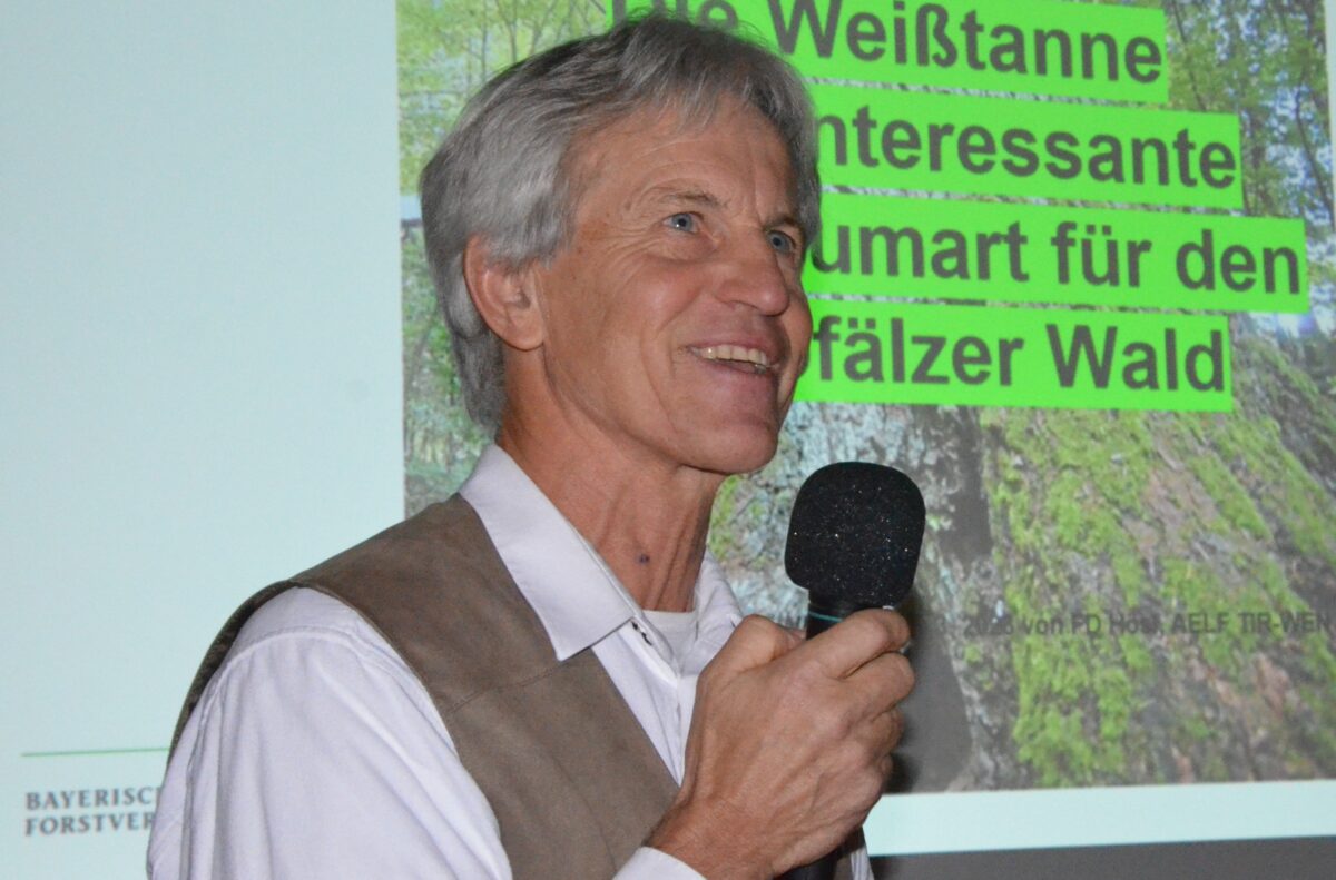 Der Tanne gehört die Zukunft im Oberpfälzer Wald
