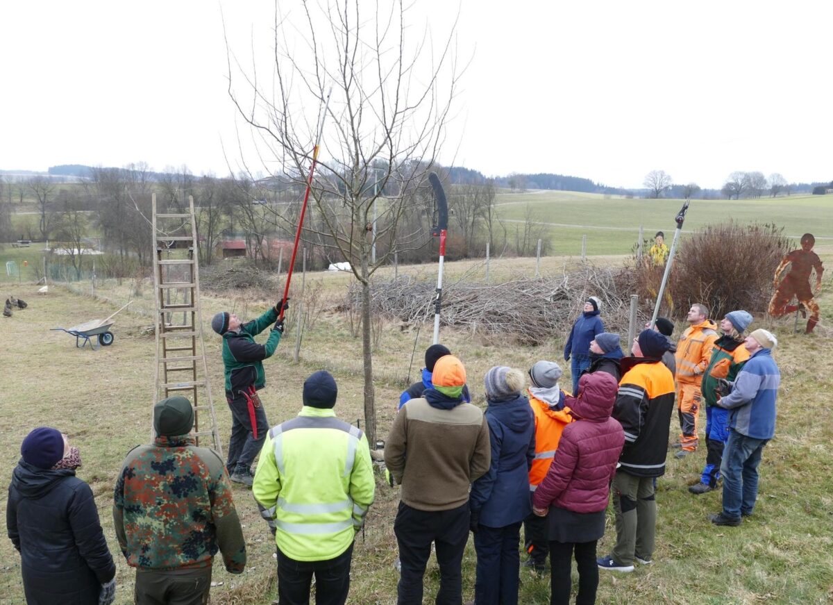 Obstbaumschnittkurs am Reha-Zentrum Waldthurn