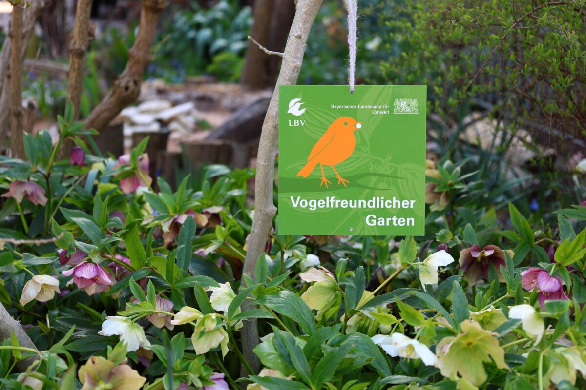 Ab in die Gärten: Vogelfreundlichkeit wird wieder ausgezeichnet