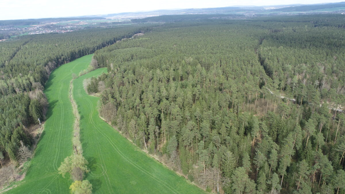 Erstmal keine neue Photovoltaikanlage für Etzenricht