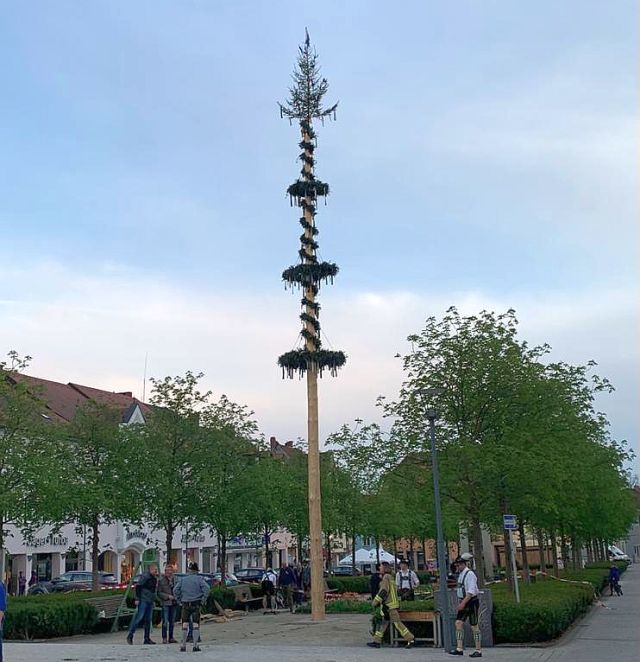 D’Werdenfelser: Auf geht’s zum Maibaumaufstellen