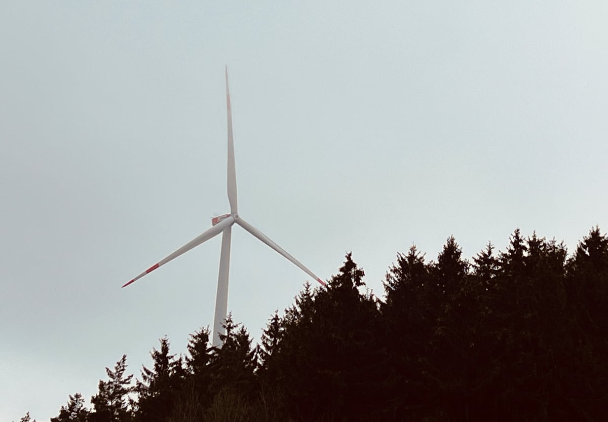 Flossenbürger Waldgebiet „Kogerie“ als mögliche Fläche für Windräder