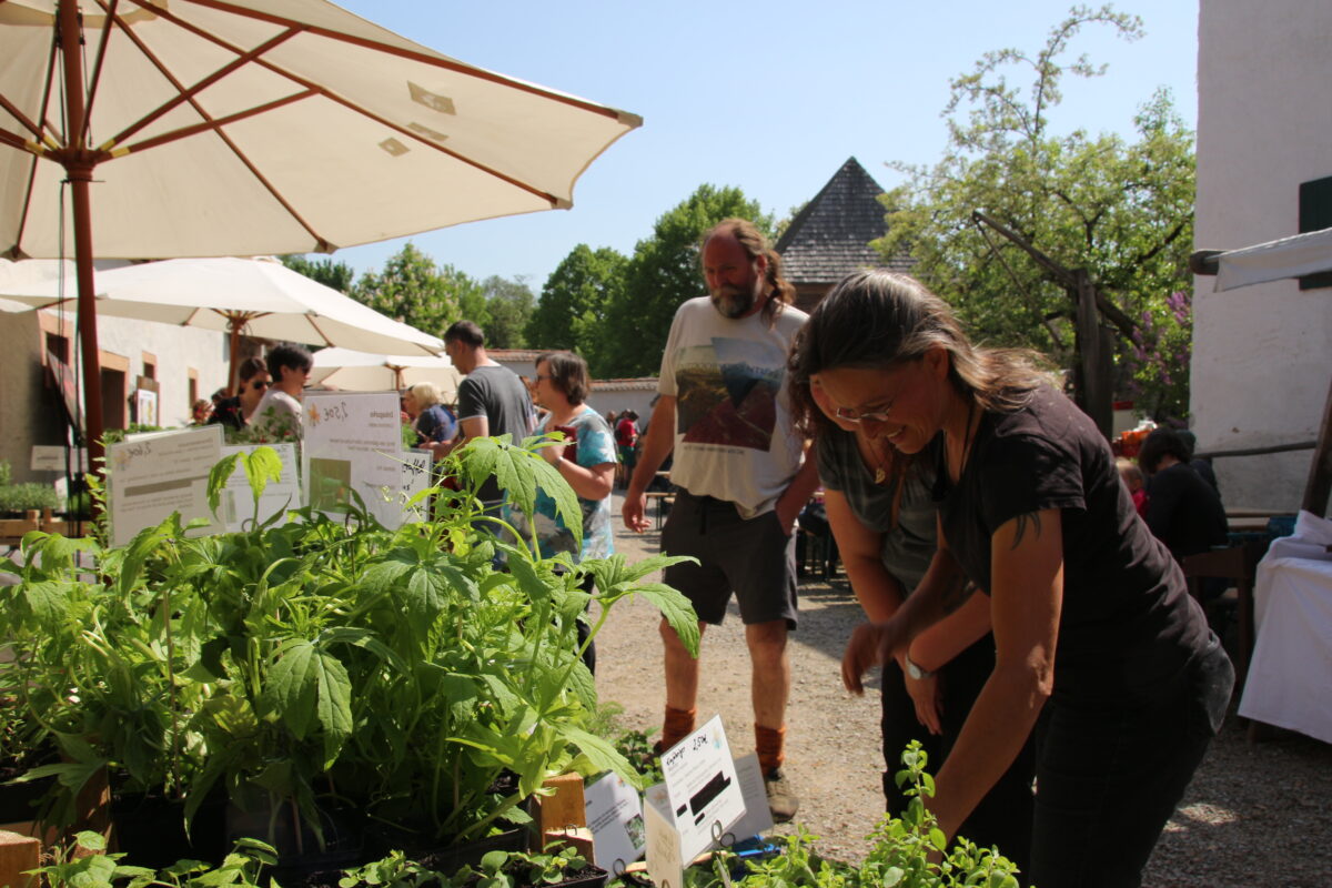 Frühjahrsmarkt im Freilandmuseum: „Das Leben tobt im Garten“