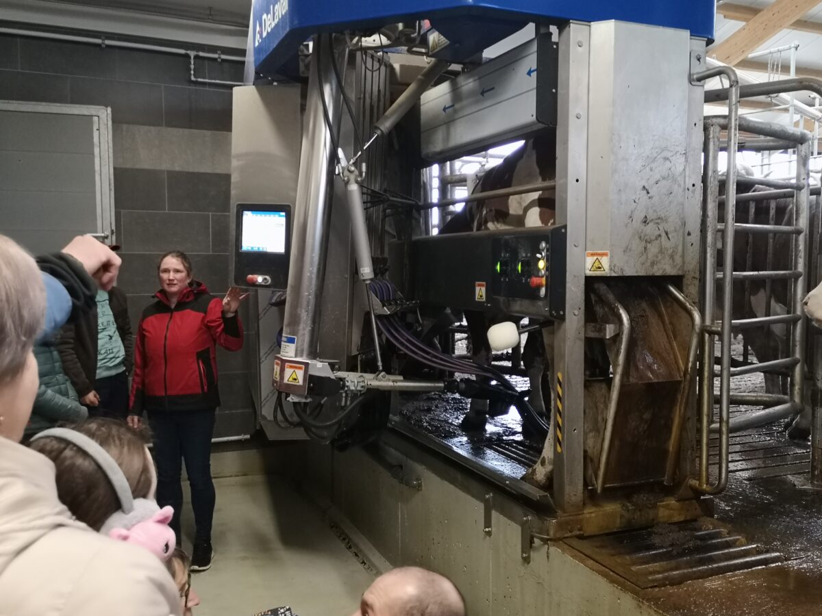 Platz für 100 Milchkühe: Neuer Stall in Waidhaus