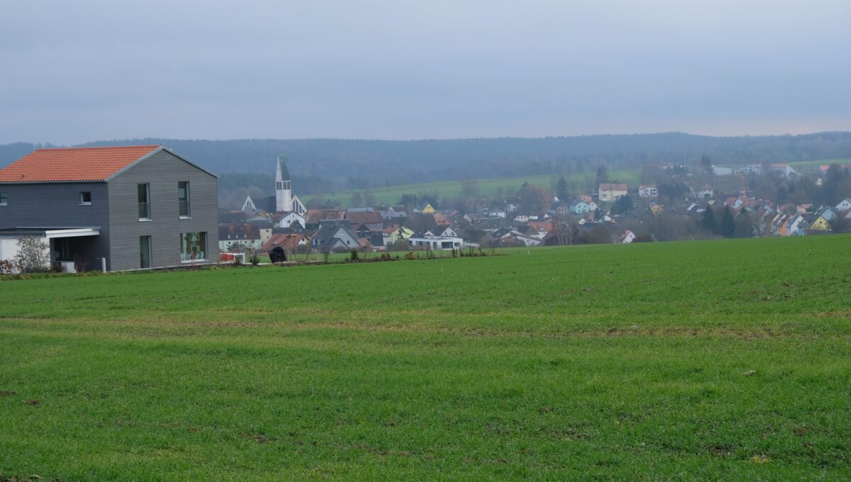 Späte Forderungen der Naturschutzbehörde verzögern Baulandreife