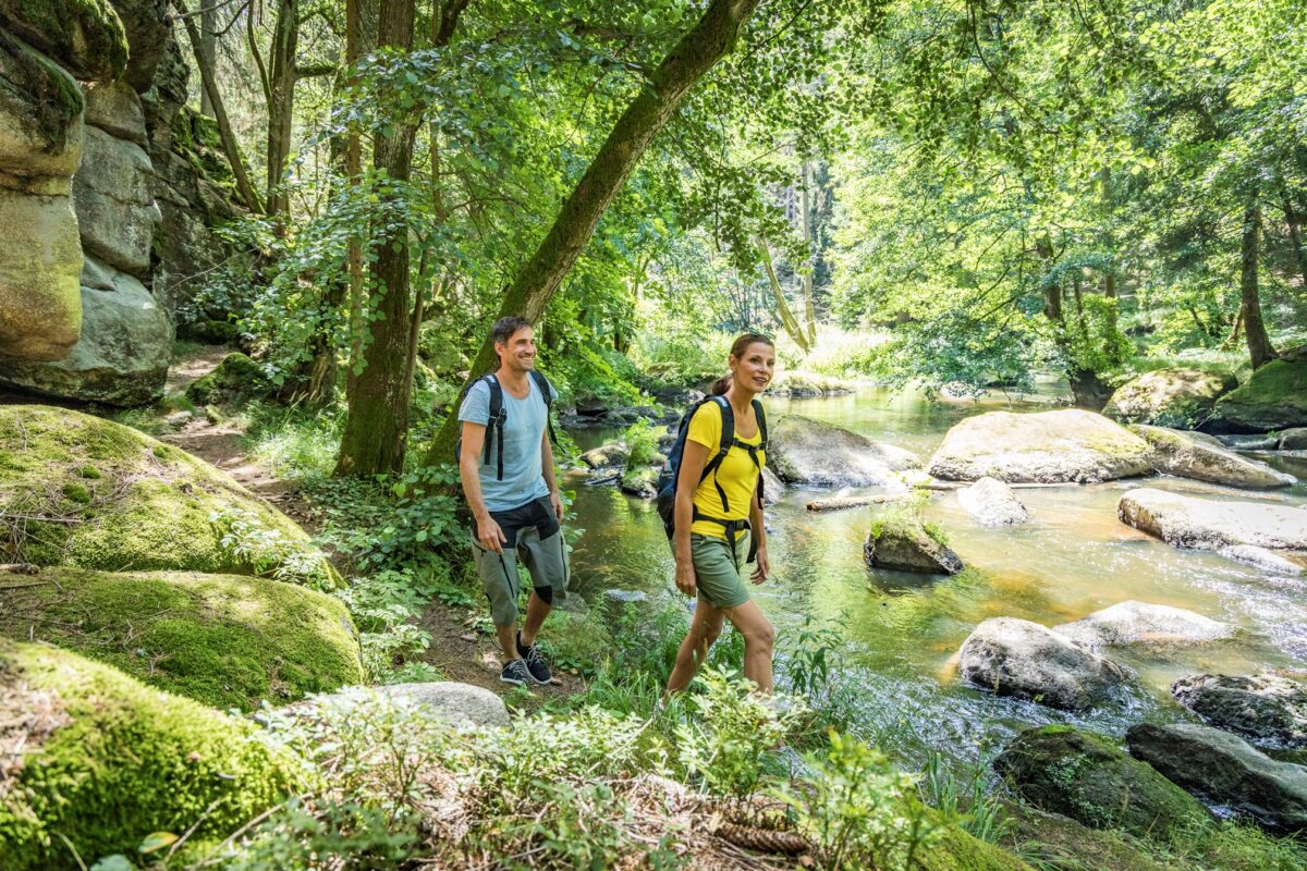 Rundum bewusst: Bahn und Wandern im Oberpfälzer Wald