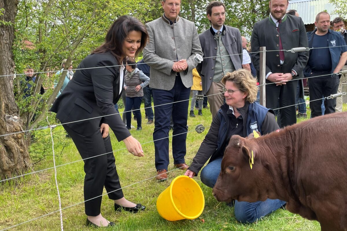 Projekt Mutterkuhhaltung – naturnah, regional und nachhaltig
