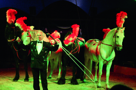 Todesrad, Dromedare und mehr: Circus Karl Altoff Köllner in Weiden