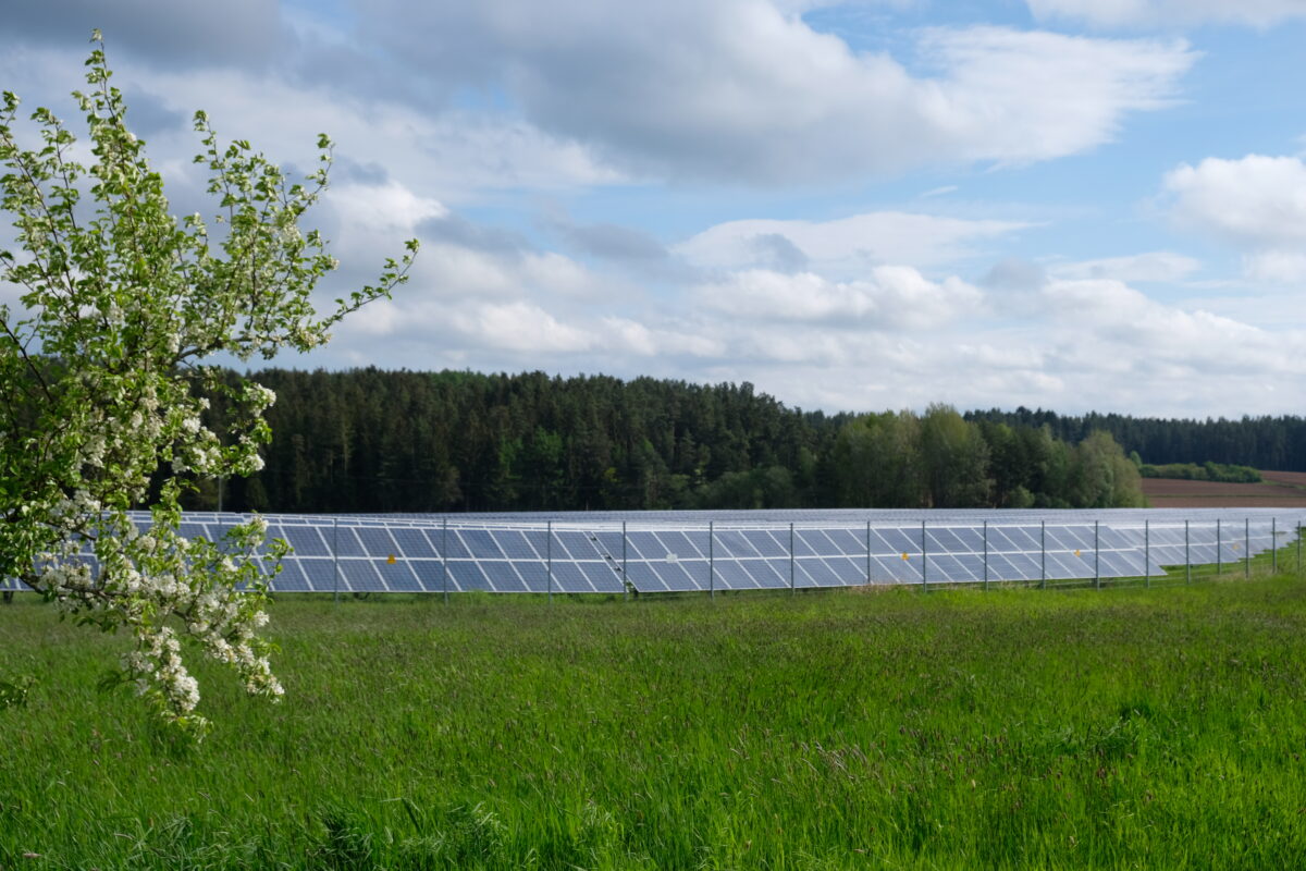 Neue Fotovoltaik-Freiflächen in Speinshart