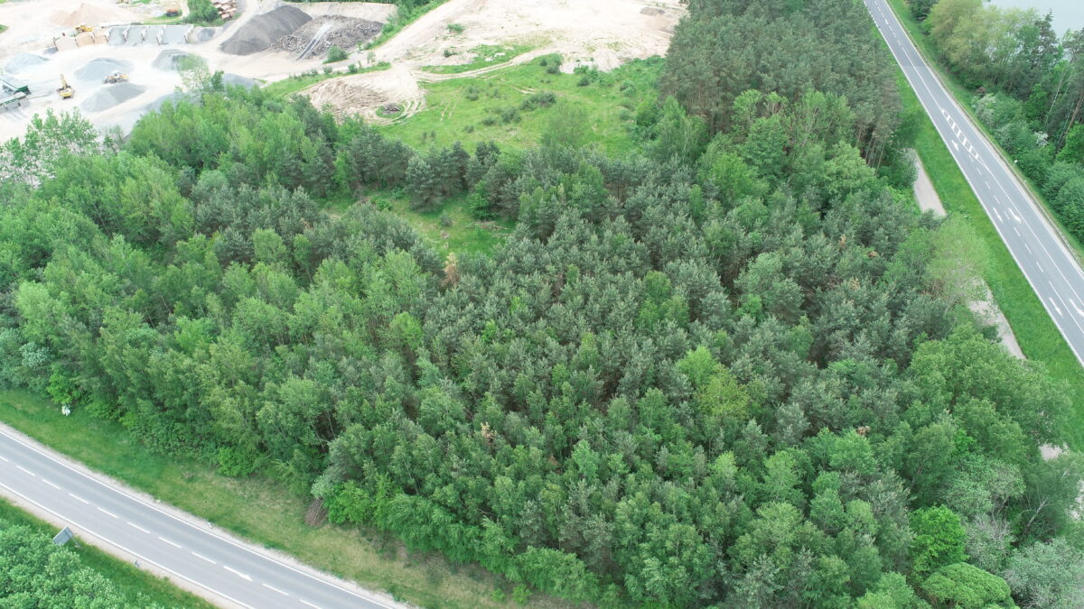Etzenricht: „Photovoltaik Mühlweg“ auf den Weg gebracht