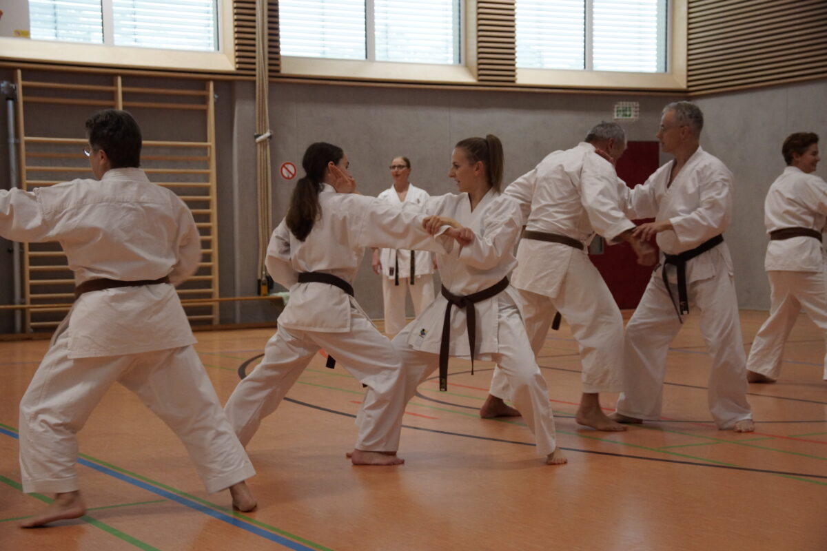 Freundschaftstraining zur Gürtelprüfung