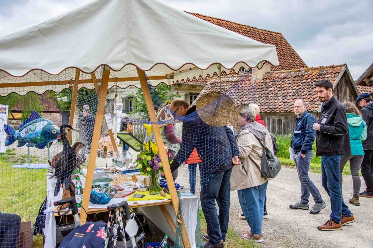 Tag des Immateriellen Kulturerbes: ARGE Fisch präsentiert Teichwirtschaft