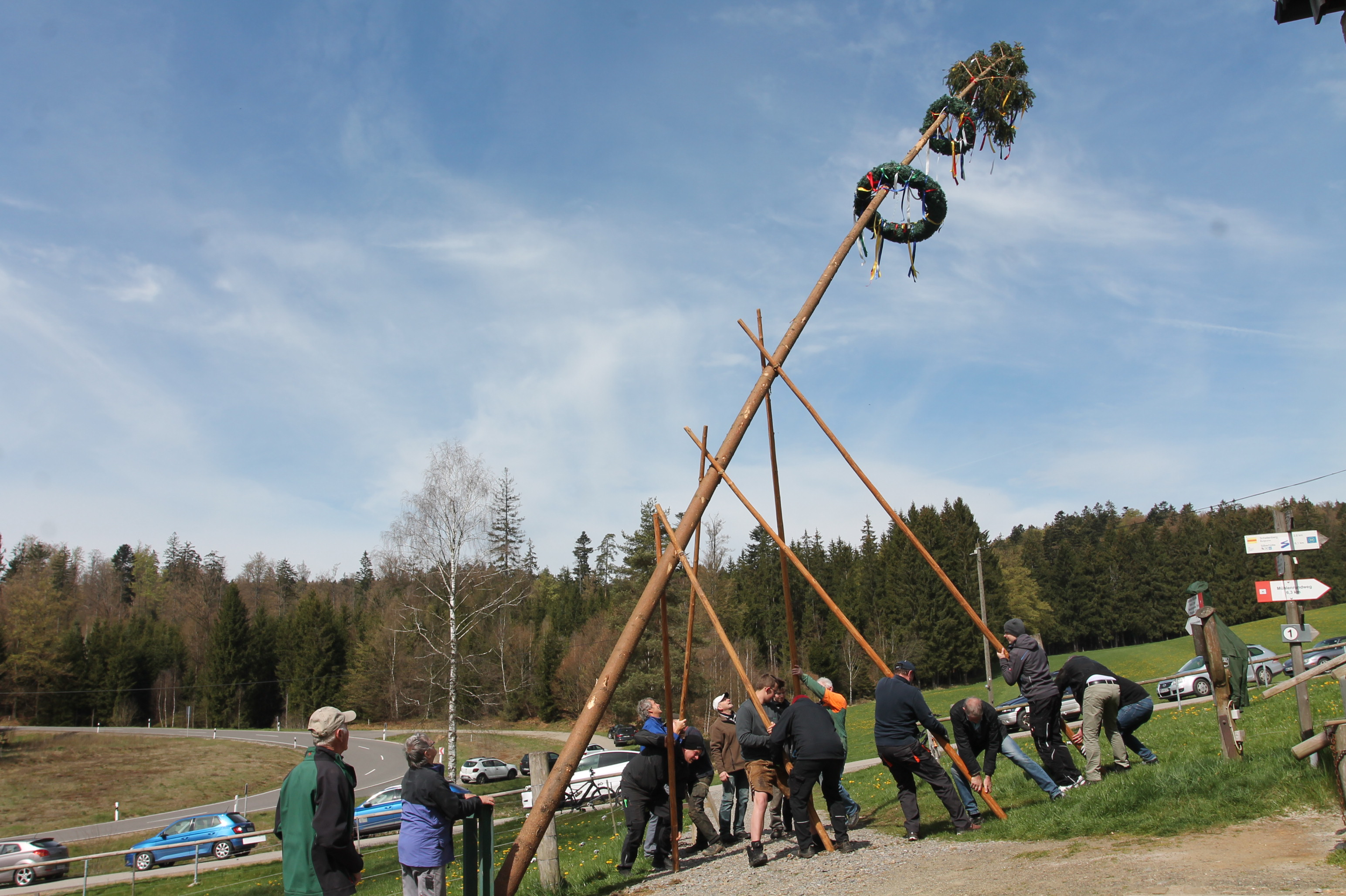 Maibaum-Aktionen: Baumdiebe hatten Erfolg