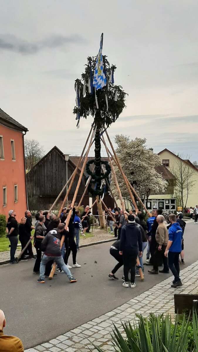 Püchersreuther Maibaum steht – ohne Maschineneinsatz