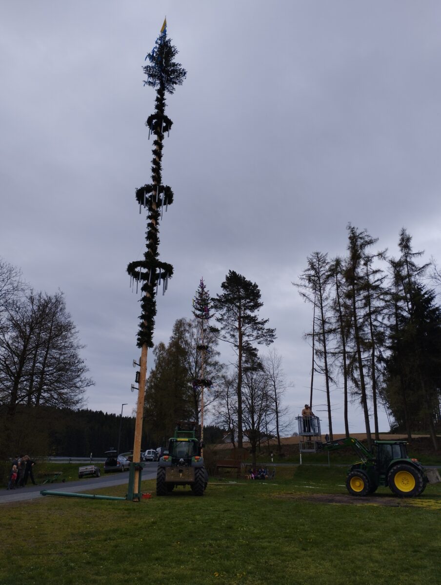 Der Kindermaibaum von Beidl
