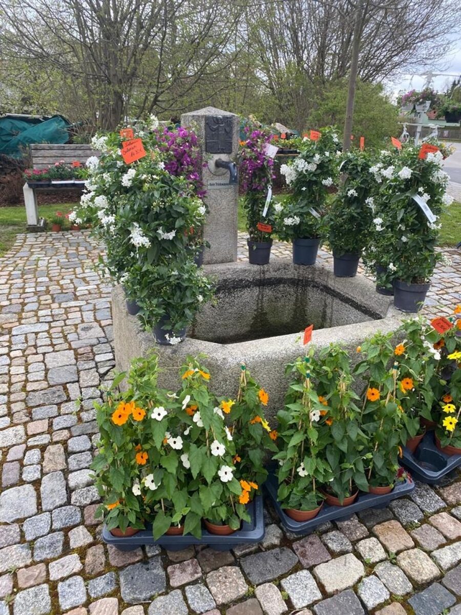 Freude über Blumenmarkt, Vorfreude auf Bürgerfest