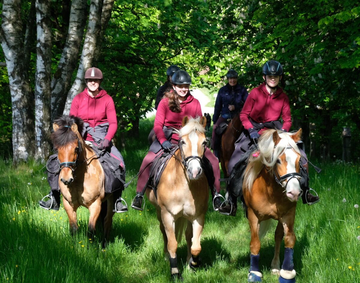 Traditioneller Sternritt auf den Barbaraberg – Passion und Lebensgefühl